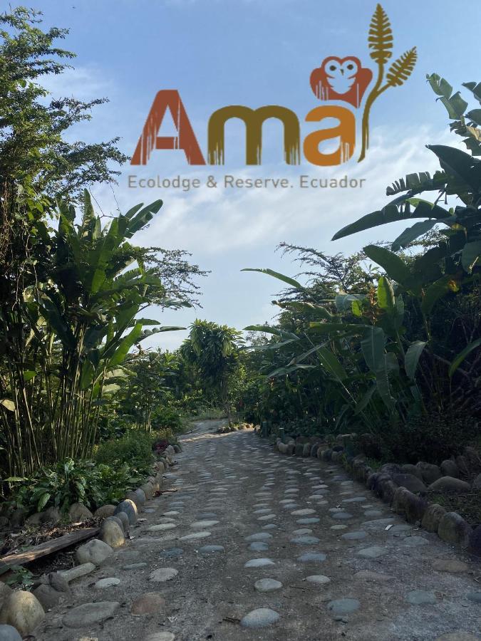 Ama Ecolodge Puerto Misahuallí Exteriör bild